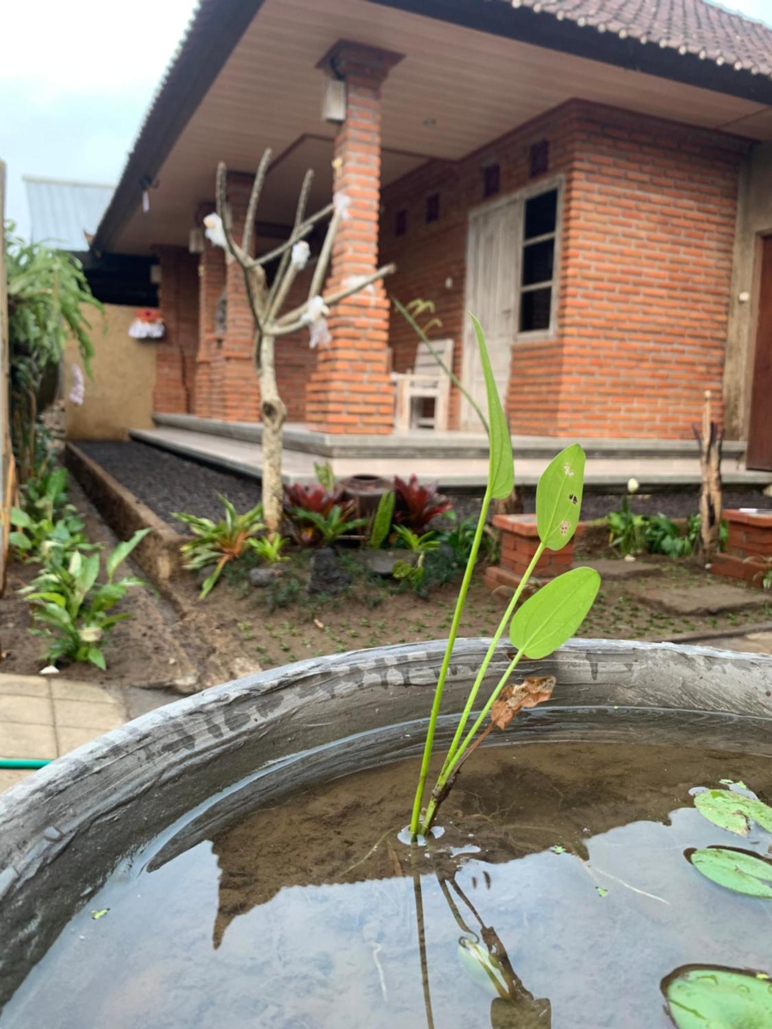 Ambara Guest House Tampaksiring Exterior photo